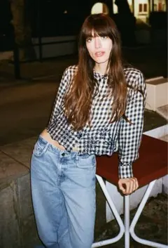 zara カットワーク刺繍チェック柄シャツ