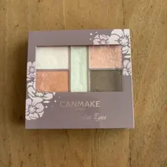 キャンメイク パーフェクトスタイリストアイズ 22