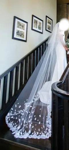 Item thumbnail for item 77ba0474-11d7-44f8-9f9a-3a4211951568