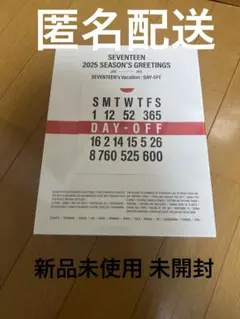 SEVENTEEN 2025 SEASON'S GREETINGS