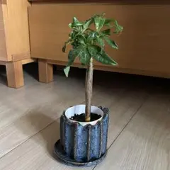 HIROSHI様 リクエスト 3点 まとめ商品