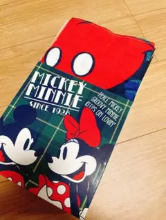 ★新品未使用！Disney Mickey Minnie 大判タオル★