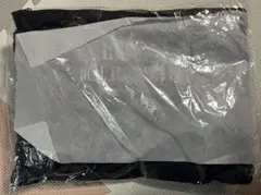 Item thumbnail for item 3d2c1544-ff51-48d0-bff2-9cf34637caf1