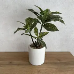 フェイクグリーン ガーデニング