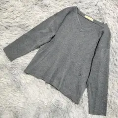 【コラージュガリャルダガランテ】長袖トップス（フリーサイズ）Vネック グレー