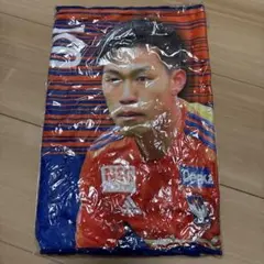 アルビレックス新潟 応援グッズ