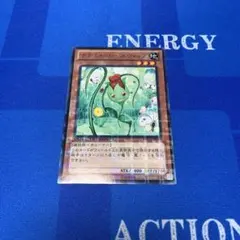 遊戯王 ナチュル・ローズウィップ 字レア DTC2-JP011 2枚セット - メルカリ