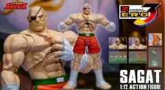 Storm Collectibles サブゼロ 1/6 - メルカリ