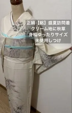 【絽】正絹訪問着　クリーム地に墨絵 未使用　盛夏用フォーマル ゆったリサイズのサムネイル