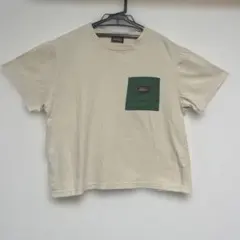 Dickies ベージュ 半袖Tシャツ ポケット付き