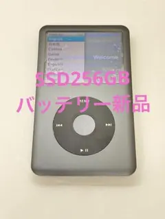 綺麗なiPod classic 第5世代30GBから256GBにSD化スケルトン - メルカリ