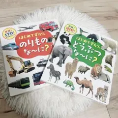 はじめてずかん 2冊セット のりもの どうぶつ 赤ちゃん 子供 本