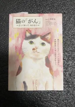 新品未使用】劇団四季 人間になりたがった猫 サウンドトラック - メルカリ