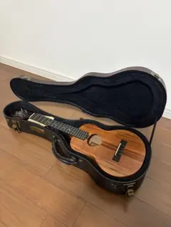 Item thumbnail for item 88e7a908-e25a-4bad-82c2-8df384c1c9f3