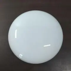 人間国宝 井上萬二 作 白磁 笹彫文 蓋物 幅約12.7cm 人間国宝 井上萬二 作 白磁 笹彫文 蓋物 幅約12.7cm Amazon.