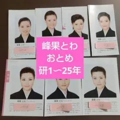 Item thumbnail for item 82f3eeb3-a2e0-4edc-97df-39ad5dfdb8e4