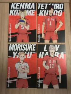 ハイキュー!!音駒高校 黒尾鉄朗　夜久衛輔　孤爪研磨　灰羽リエーフ　ポストカード