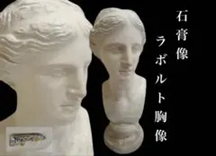 石膏像 ニベオ胸像 大型65cm デッサン用 美大受験対策 美術模型 石膏像 ニベオ胸像 大型65cm デッサン用 美大受験対策 美術模型 - メルカリ