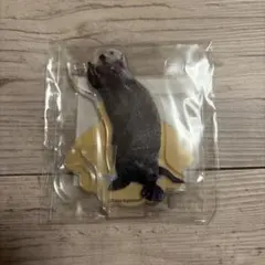 キラメイ　カプくじ