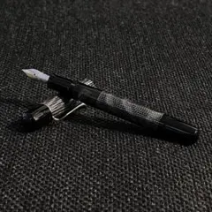 2026年最新】ペリカン m101nの人気アイテム - メルカリ
