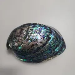 [4/11限定セール]天然 アバロンシェル 浄化皿 貝殻