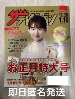 綾瀬はるか　ザテレビジョン　日本生命　非売品