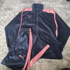 プーマ ジャージ XS SS ピンク ネイビー プージャー 上下 セッ
