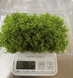八ヶ岳産　天然花山椒　80g 予約商品】気品ある香り！花山椒100g （かやぶきの里・ 京都・美山産