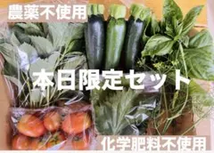 本日限定セット　農薬不使用　化学肥料不使用　安心　野菜詰め合わせ