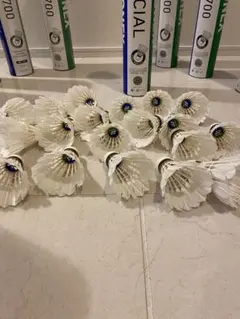 2026年最新】YONEX ヨネックス エアロセンサ700の人気アイテム - メルカリ