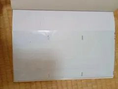 A4クリアファイル 自然デザイン　写真用