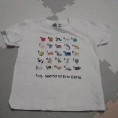 はらぺこあおむし☆ERIC CARLE アルファベットTシャツ 110