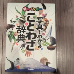 ひめ✩.*˚様 リクエスト 2点 まとめ商品