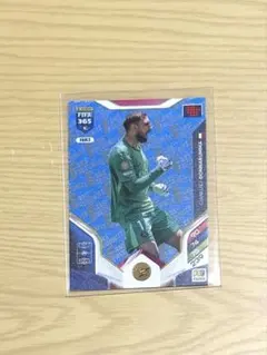 ドンナルンマ カード パリ・サンジェルマンFIFA365 PANINI