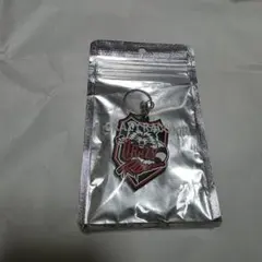 CRグッズ アクリルキーホルダー