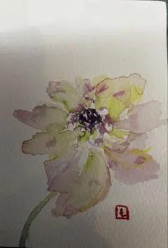 植物画 アネモネ ボタニカルアート 額装 - メルカリ