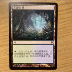 MTG ZNE霧深い雨林4枚セット MTG ZNE霧深い雨林4枚セット 霧深い雨林4枚セットZNE日本語版