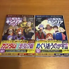 ガンダム 異世界宇宙世紀 二十四歳職業OL、転生先でキシリアやってます　上下巻