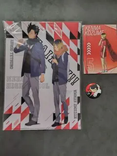 ハイキュー！！Ａ４クリアファイル、缶バッジ