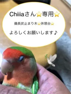 Item thumbnail for item 2df52c70-7565-4246-879c-f6537c1cb0f5