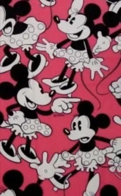最終SALE♪ディズニー♪レア・Minnie柄♪大判フラット♪新品♪入手困難♪
