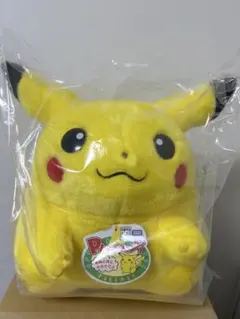 2026年最新】おきがえピカチュウ ぬいぐるみの人気アイテム - メルカリ