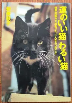 よっこ様 リクエスト 4点 まとめ商品