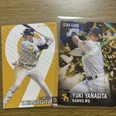 プロ野球チップス2026 2024 柳田悠岐 スターカード 2枚セット