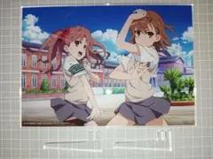 メダリスト　オンリーショップ　D賞カード TVアニメ「メダリスト」オンリーショップ in アニメイト | Only Shop