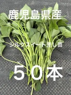 シルクスイート 100本 新鮮さつまいも苗 無農薬 - メルカリ