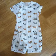 petit main 半袖(50-70)、半袖肌着（50-60）