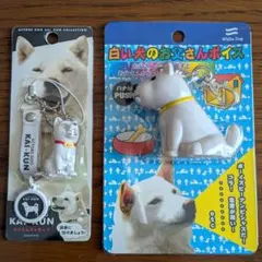 KAI-KUN ストラップ ２個セット