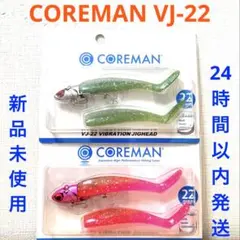 コアマン VJ22 沖堤イワシ 沖堤ピンク 2点セットのサムネイル