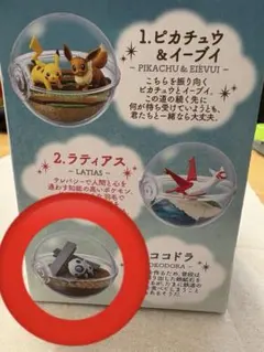 ポケモン テラリウムコレクション 13ココドラ